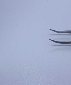 Alternative view of BT-SS011