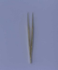 Alternative view of BT-G011