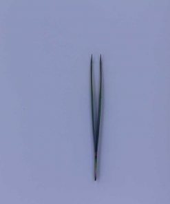 Alternative view of BT-MUC013