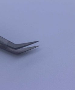 Alternative view of BT-SS019