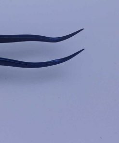 Alternative view of BT-T005