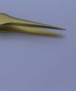 Alternative view of BT-G006