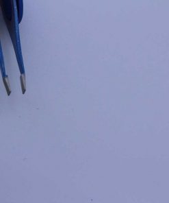 Alternative view of BT-C006