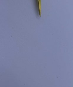 Alternative view of BT-G007