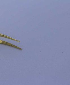 Alternative view of BT-G008