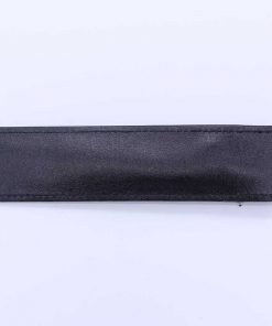 Alternative view of BT-P009